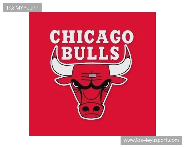 公牛球队防守压力持续增大，公牛队篮球