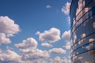 埃及队未来：借鉴世界先进经验，完善本土发展体系，埃及国家队阵容状况