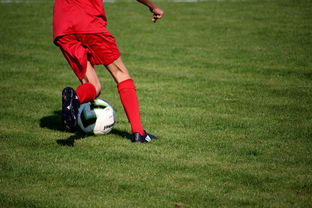 英超青训体系中情绪调节训练对青少年比赛焦虑的控制作用，英超青训球员定义