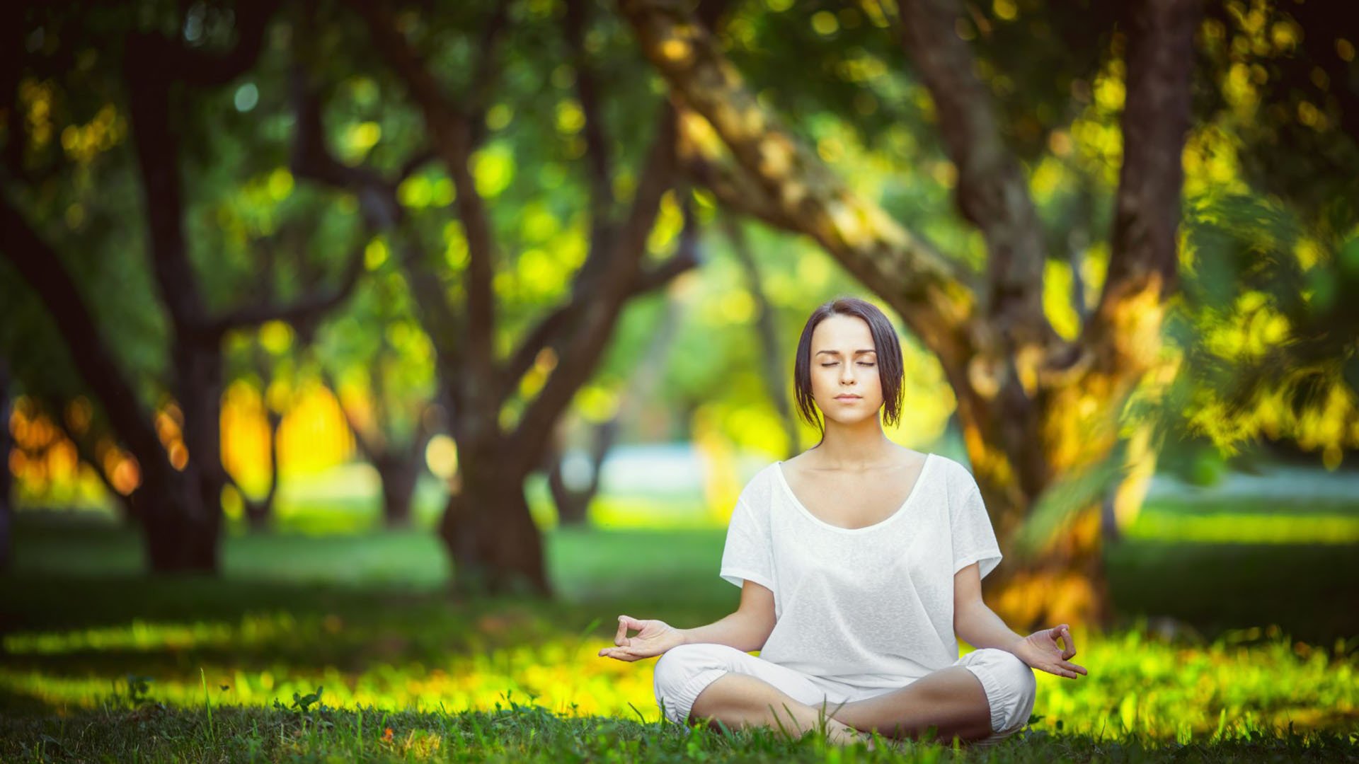 全国青少年滑板障碍挑战：连贯动作赢得高分，中国青少年滑板锦标赛冠军